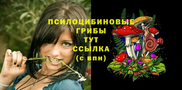 бошки Новокубанск