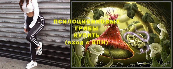MESCALINE Новозыбков
