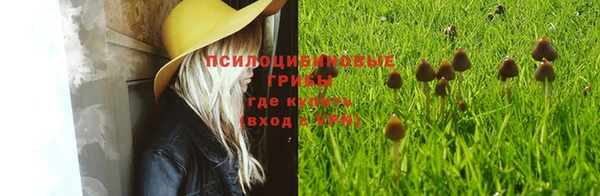 MESCALINE Новозыбков