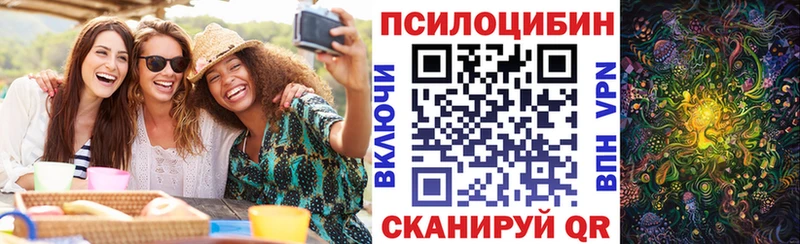 Псилоцибиновые грибы MAGIC MUSHROOMS  Купить закладки  Сясьстрой 