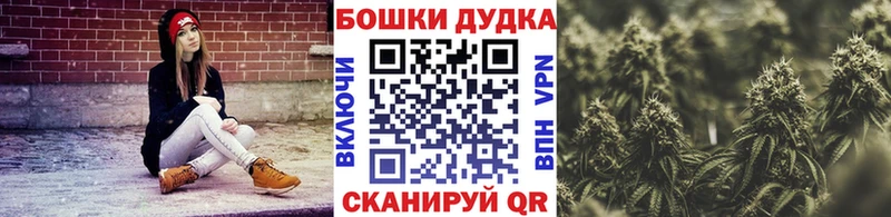 Купить  Сясьстрой  Бошки Шишки семена 